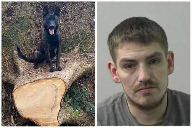 Police Dog Ace found Mark Cranston hiding in a bush.