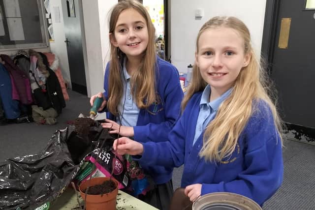Members of the school's Eco Committee helped to plant trees and bulbs. (Photo by St Aidan’s Catholic Primary School )
