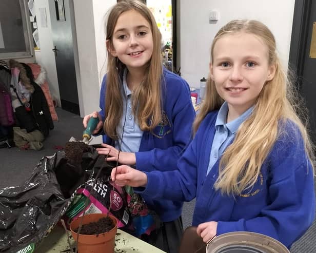 Members of the school's Eco Committee helped to plant trees and bulbs. (Photo by St Aidan’s Catholic Primary School )