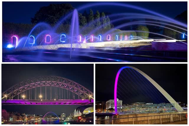 Pink and blue lit up the night at Tyne Bridge, Millennium Bridge and The Alnwick Garden fountain last year.