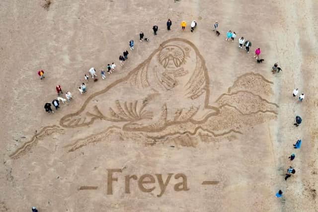 The Freya sand sculpture in Seahouses.