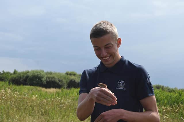Joel Ireland, Catch My Drift project trainee, gets set to release a harvest mouse at East Chevington. Picture by Sophie Webster.