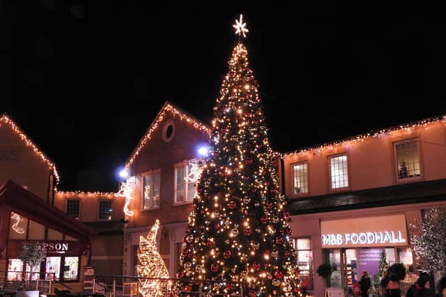 The Tree of Light in Morpeth pictured in 2021. Picture by Anne Hopper.