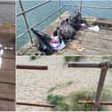 Some of the litter and criminal damage on the Port of Blyth's West Pier.