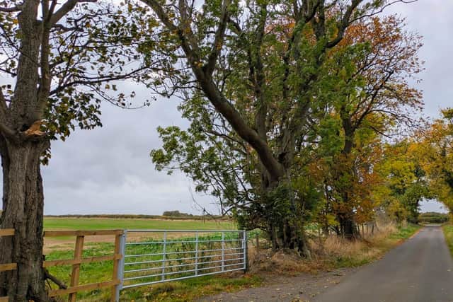 A view of the proposed development site in Amble.