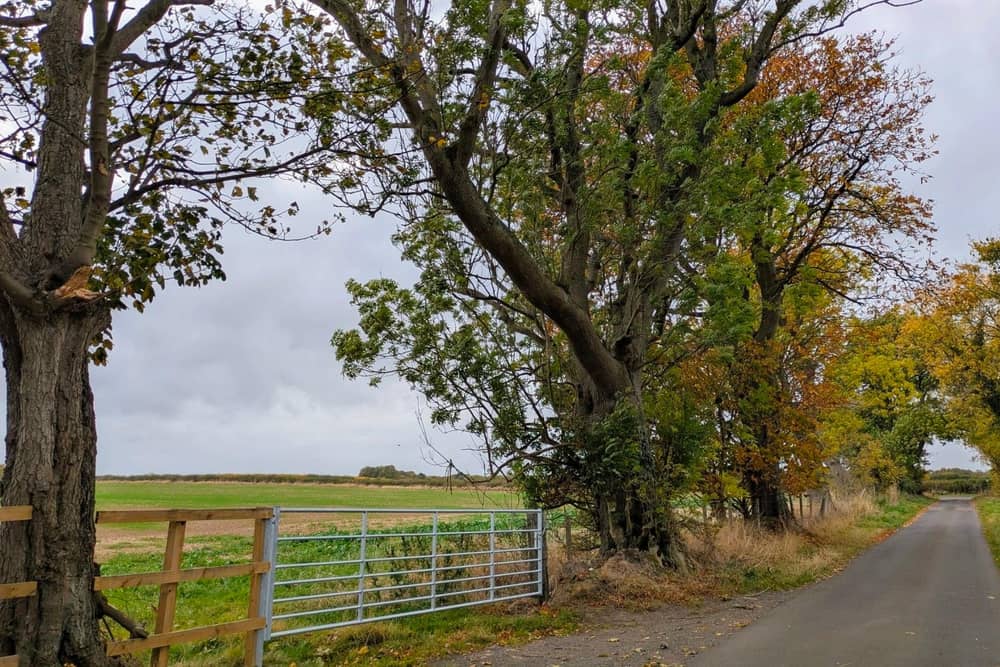 A view of the proposed development site in Amble.