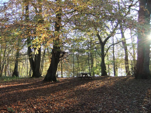 Bolam Lake, near Morpeth, has everything you need, with a beautiful lakeside walk that is accessible for wheelchairs and pushchairs, woodland and open grassed areas, and a visitor centre with a cafe, shop and information area. It's the perfect spot for a family walk.