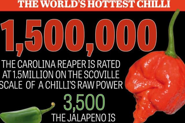 Comparing the hotness with jalapeno.