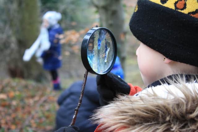 Close up ...  children used magnifying glasses to study the trees.