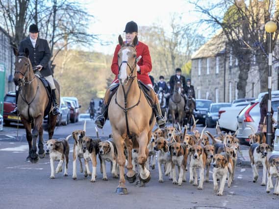 The huntsman and the hounds make their way along Bailifgate. Picture by Jane Coltman