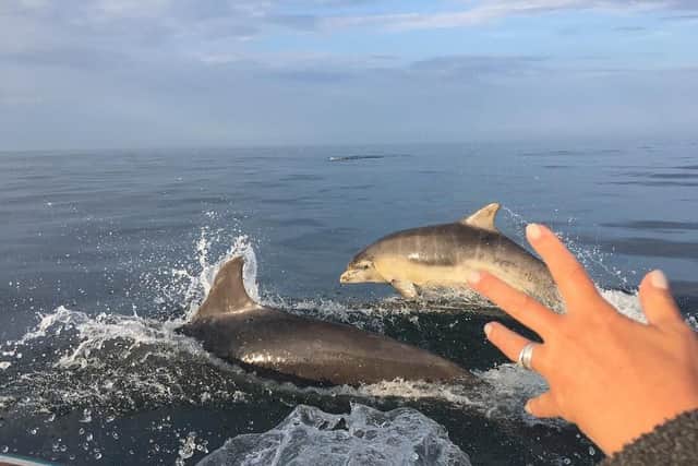 Wow, two of the dolphins leap from the North Sea alongside the Bowrons' boat.