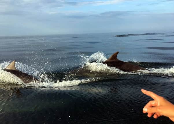 Dolphins pictured off the coast of Northumberland at Boulmer by Kate Durie and Tamsin Bowron from a small motorised rowing boat.