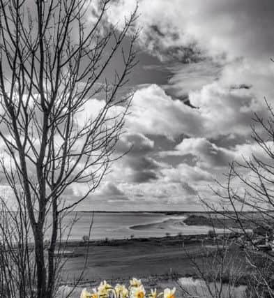 SECOND: A striking shot of Alnmouth Bay by George Taylor.