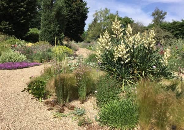 Drought tolerant plants at Beth Chatto garden.