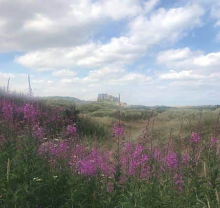 A view through the rosebay willowherb to Bamburgh Castle by Pamela Yates. 104 Facebook likes