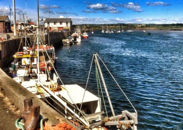 The harbour in Amble. Picture by Sue Swanston