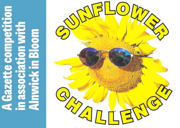 The 2018 Sunflower Challenge