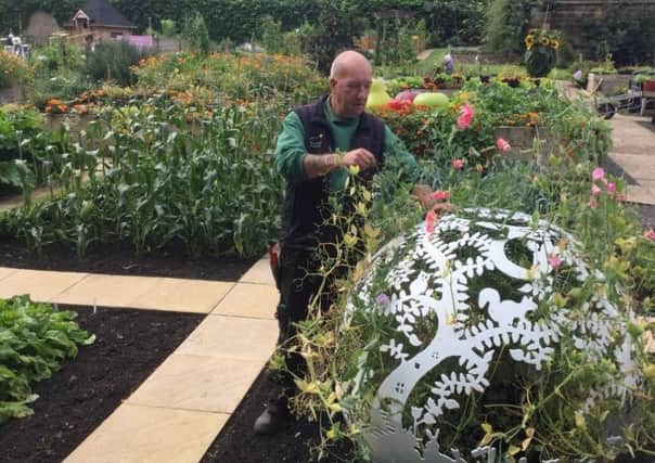George Swordy co-ordinates the Roots & Shoots community projects at The Alnwick Garden. Picture by Tom Pattinson.