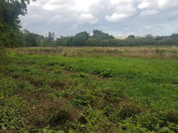 The site of the proposed homes in Longframlington.