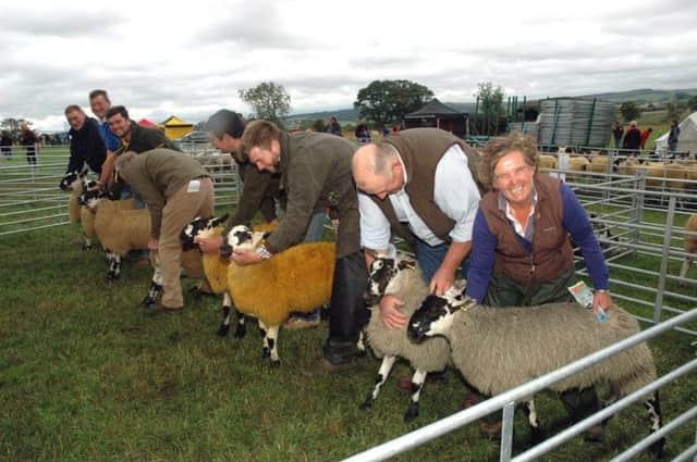 Judging line-up at Whittingham Show. Picture by Mary Scott