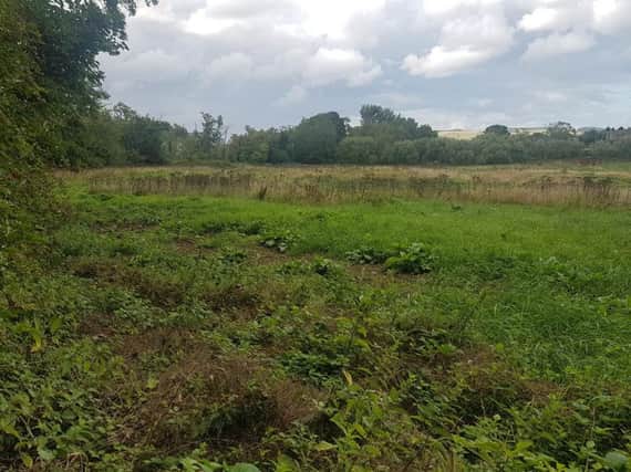 The site of the proposed homes in Longframlington.