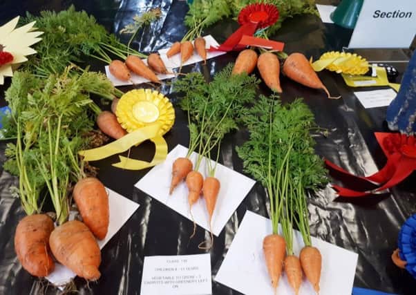 Some of the carrots from the eight to 11 years section at Seahouses Village Show.