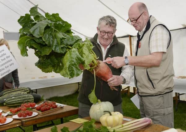 Judging the vegetables at Ingram Show. Picture by Jane Coltman