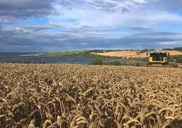 A farm in Northumberland. Picture by Neil Milburn