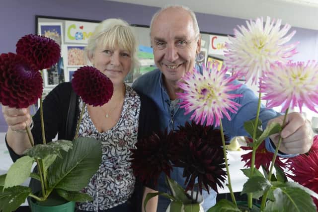 Belford Show 2017
  Nickie and Steve thompson admire the Dahlia entries.
Picture by Jane Coltman