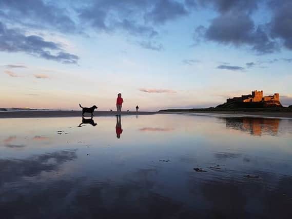 JOINT THIRD: The calm after the storm - a brilliant image taken at Bamburgh, Northumberland by Andrew Smith, with Scarlett and Drake in the picture. 119 Facebook likes.