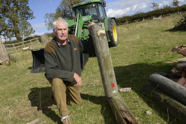 The D notice can be seen on the fallen electricity pole, as farmer Harry McGregor points out.  Picture by Jane Coltman