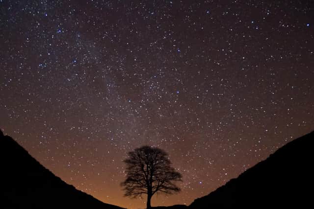 Dark skies over Sycamore Gap in Northumberland National Park. Picture by Cain Scrimgeour.