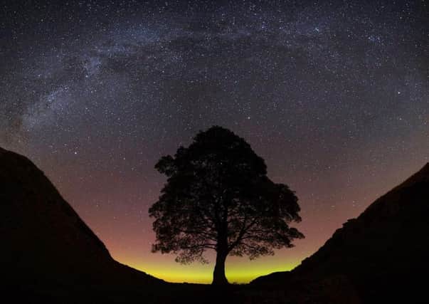 The Milky Way over Sycamore Gap.