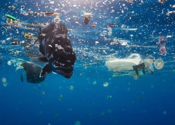 Plastic pollution in the sea. Picture by Blue Planet 2, BBC