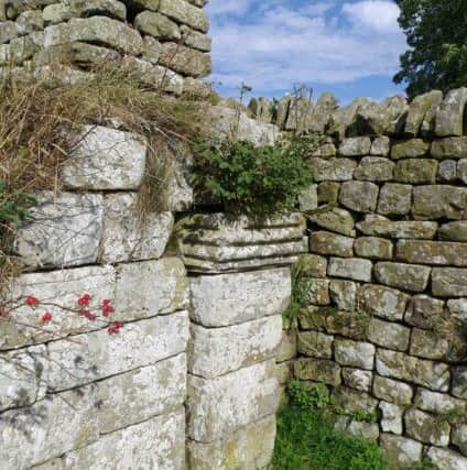 A gate at Bremenium. Picture by Ian Hall.