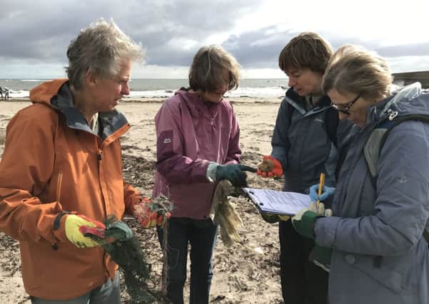 Volunteers doing a beach survey. Picture from Coast Care