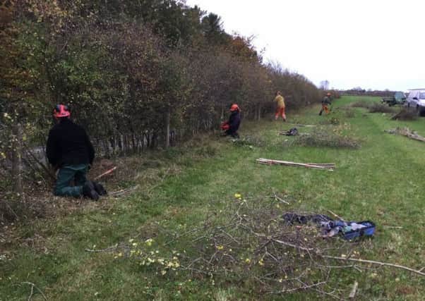 A hedgelaying competition gets into full swing at Thisleyhaugh Farm, near Longhorsley. Picutre by Tom Pattinson.
