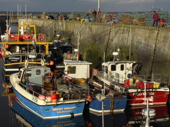 Fishing boats in Seahouses harbour. Picture by Jane Coltman