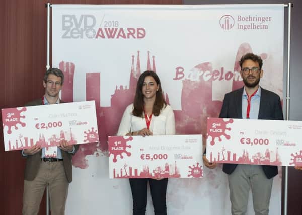 BVDZero Awards Finalists.