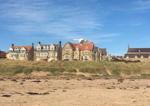 A swan flies low over Alnmouth beach, pictured by Catherine Mason. 134 Facebook likes