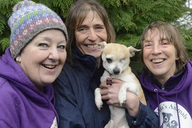 Alexa's Animals Dog Rescue trustee Carole Green, manager Sue Hamblett and volunteer Bridget Kohler with Dobby.
 Picture by Jane Coltman
