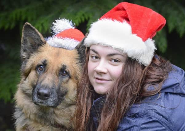 Maggie the German Shepherd at Alexa's Animals Dog Rescue with staff member Holly Moscrop.  Picture by Jane Coltman
