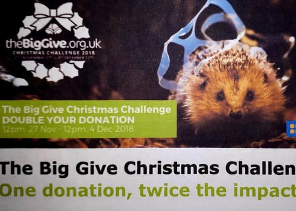 Keep Britain Tidy is running the Big Give Christmas Challenge.