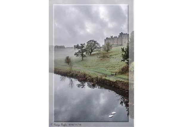 A lovely atmospheric shot of Alnwick Castle in the mist, with two swans sleeping on the River Aln, by George Taylor. 428 Facebook likes
