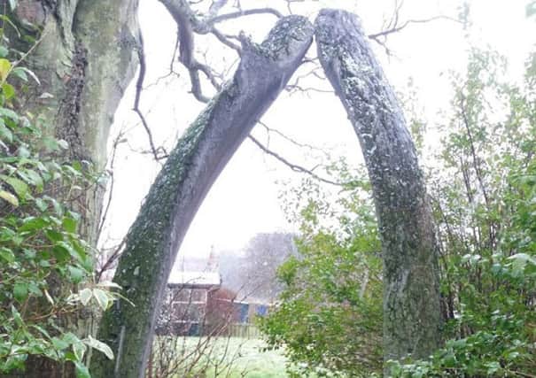 The whale bone arch which has been stolen from the former Seahouses First School site.