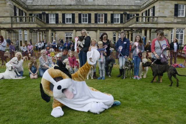 The North East Dog Festival at Kirkley Hall
Lots of fun for lots of dogs.
Picture by Jane Coltman