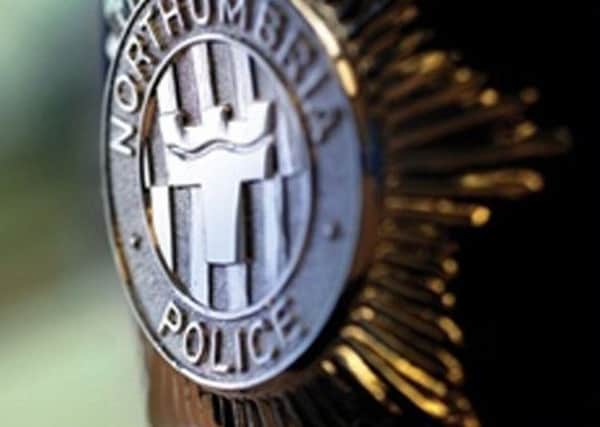 Reports of sexual offences and domestic abuse to Northumbria Police have risen in 12 months.
