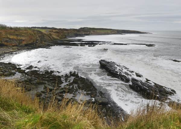 Cullernose Point on the coast north of Howick.
Picture by Jane Coltman