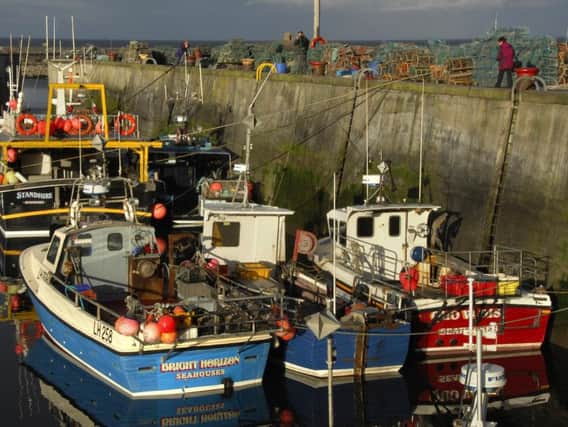 Seahouses Harbour. Picture by Jane Coltman