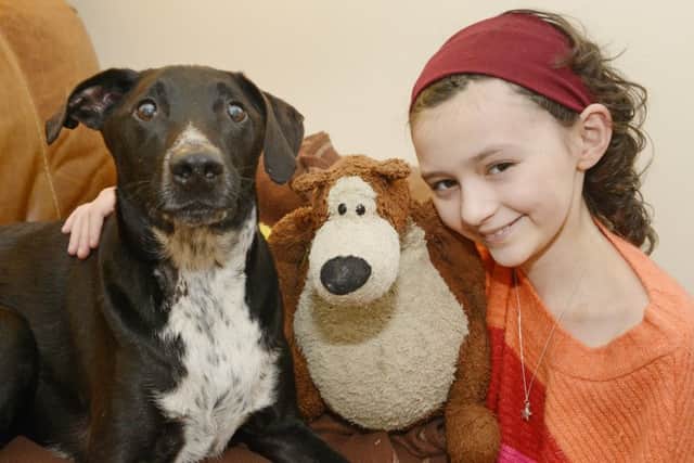 Caroline with her dog Fidget and bear Otto.  Picture by Jane Coltman